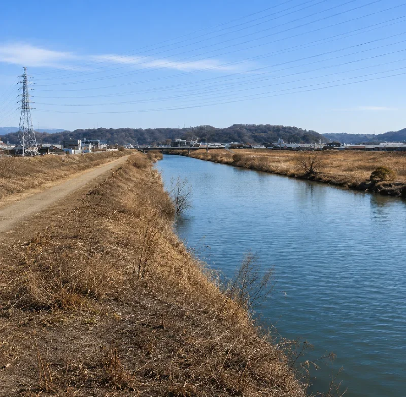 足羽川大瀬橋周辺