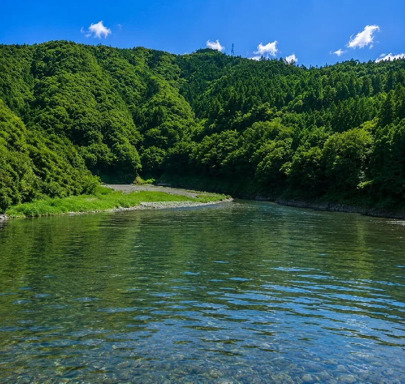 椿山ダム初湯川筋