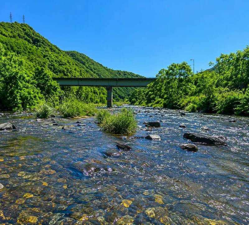 芦田川前原橋周辺