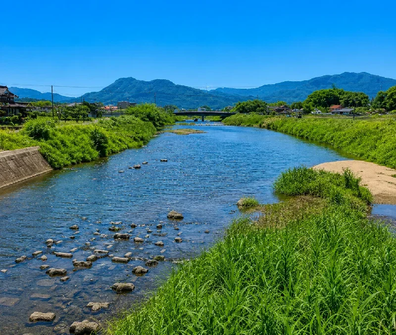 水神橋周辺