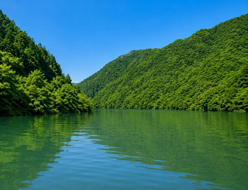 阿武川筋