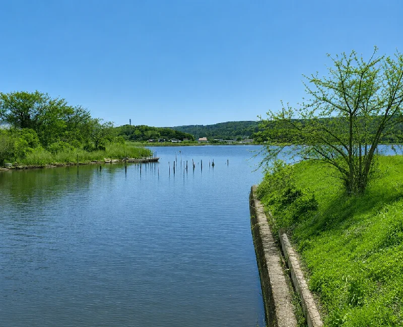 差海川流出口周辺