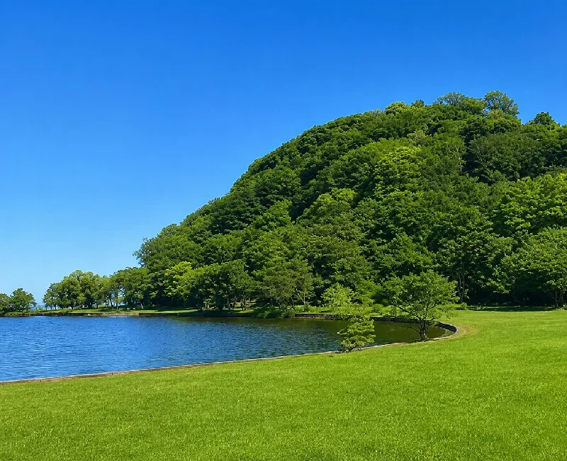 湖山池青島