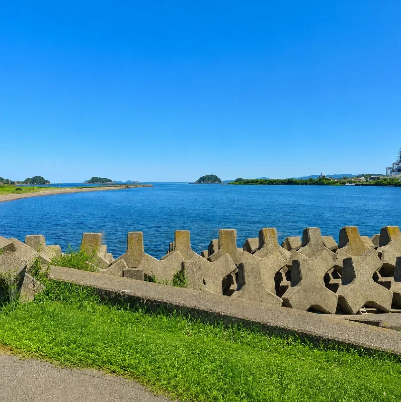 桑野川河口