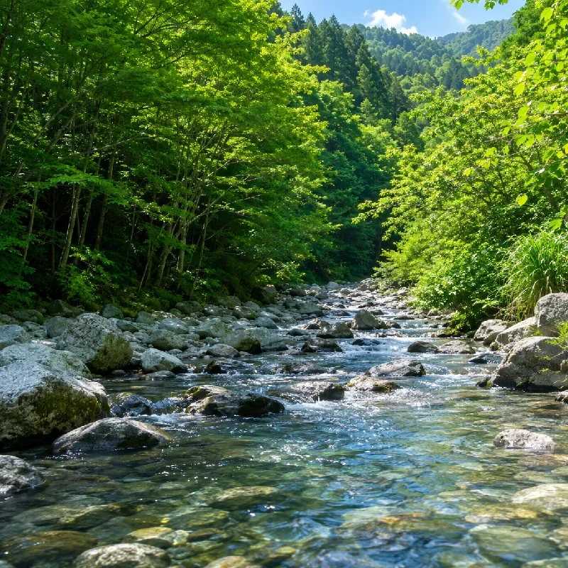 熊渡川合流地点付近
