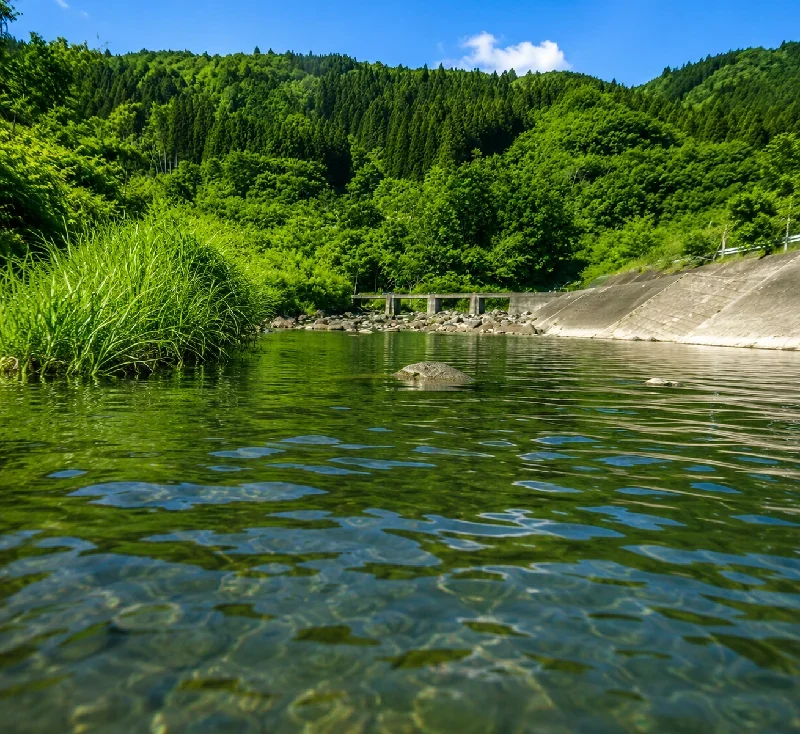 山移川バックウォーター
