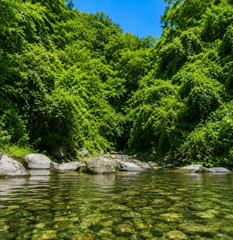 岩岳川求菩提園地周辺