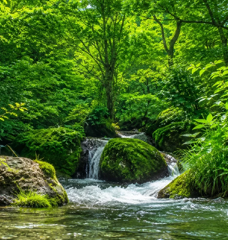 土倉鉱山跡周辺
