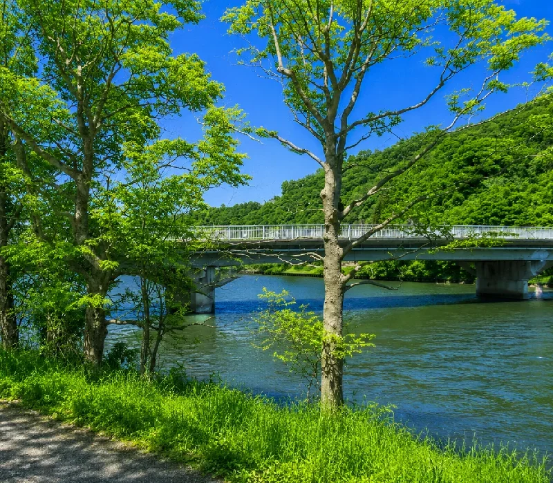 長命寺川河口
