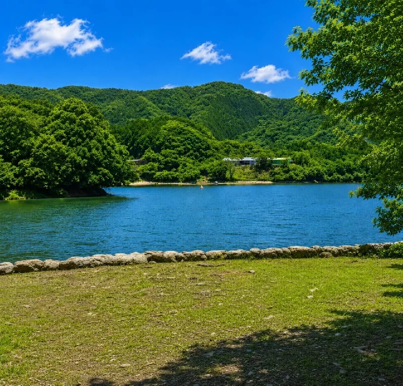 ダム公園周辺