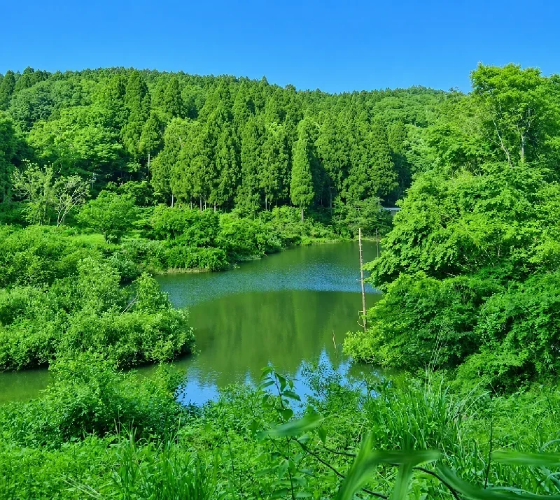 インレット