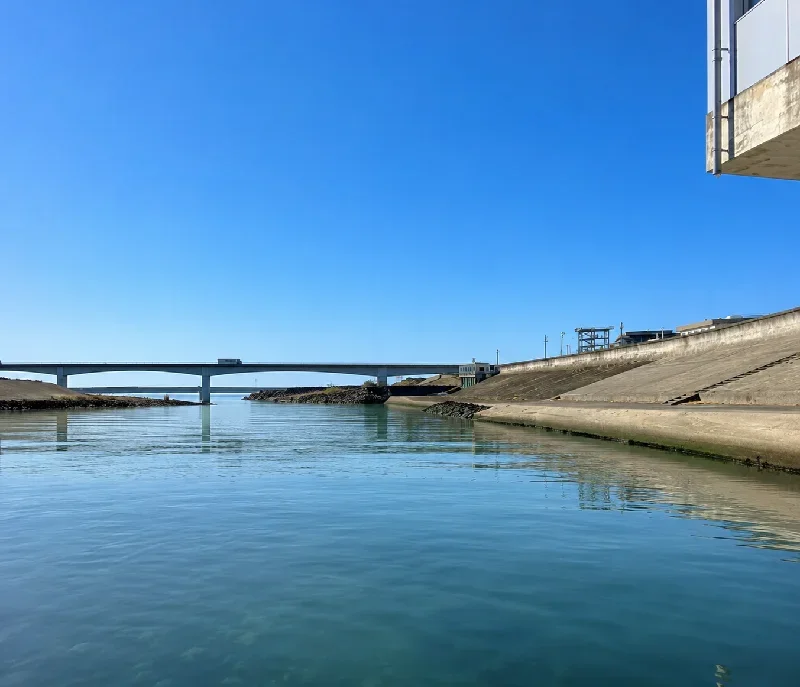 仁淀川合流地点付近