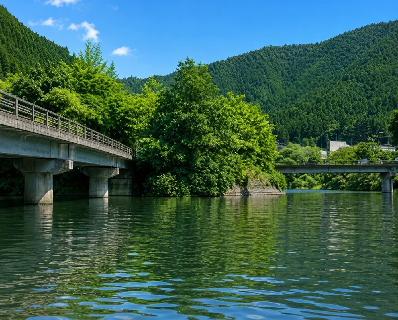 油木ダム中ノ島周辺