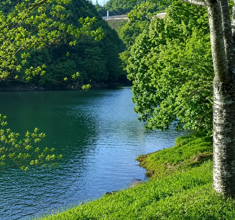 矢筈ダム桜台広場周辺