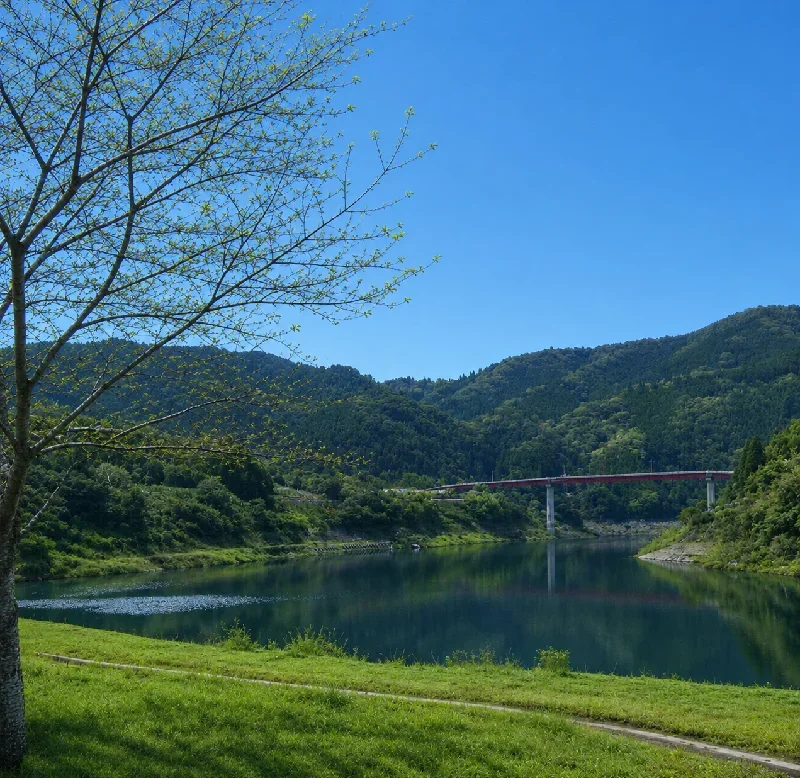 大渡ダム公園周辺