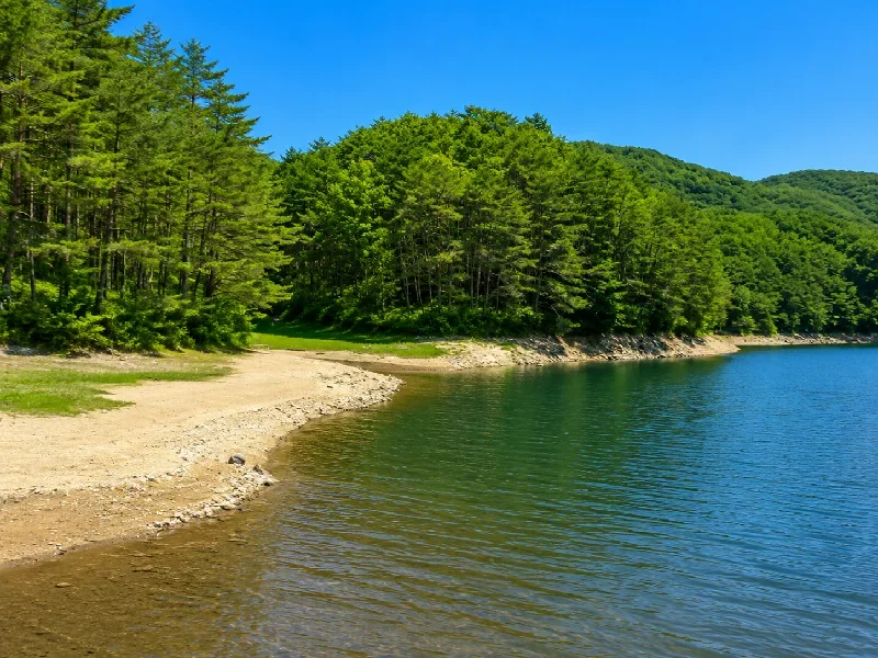 聖湖紫木川インレット