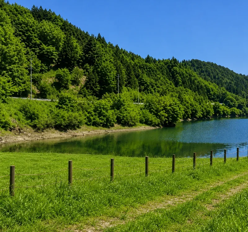 宮奥ダム水辺公園周辺