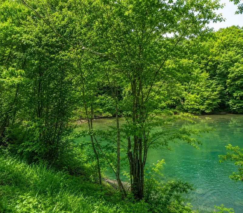 取水塔横のワンド