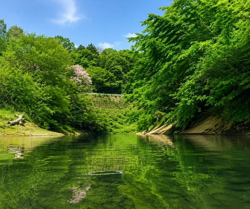 八木山川バックウォーター33.682448, 130.613552