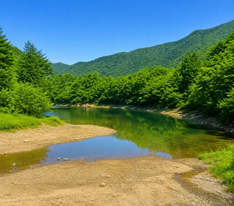 中元寺川インレット