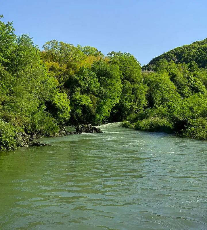 由良川山家橋周辺