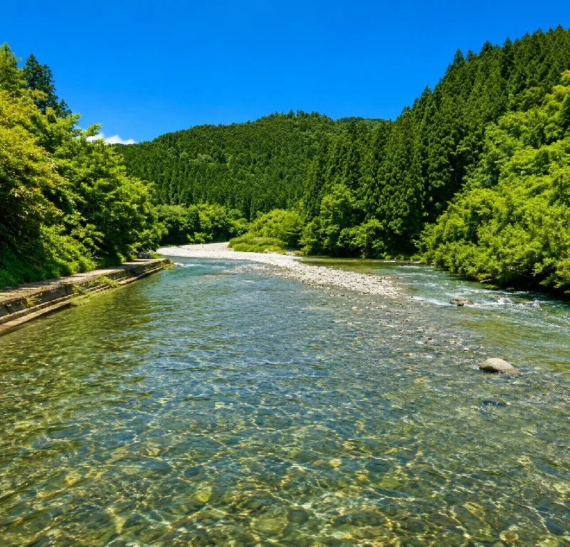 北川川梼原川合流点周辺