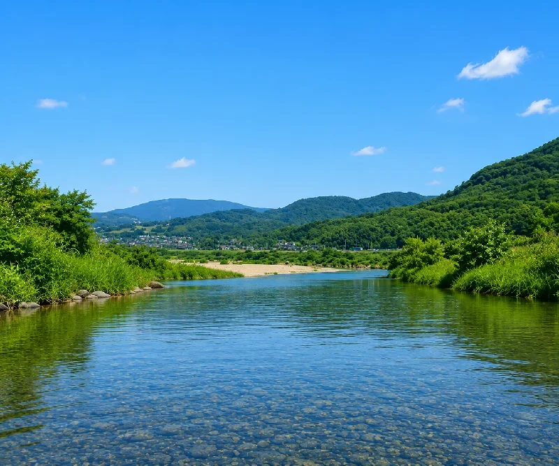 木津川玉水橋周辺
