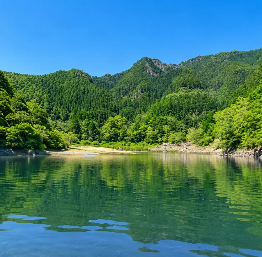 君ケ野ダム花広大橋周辺