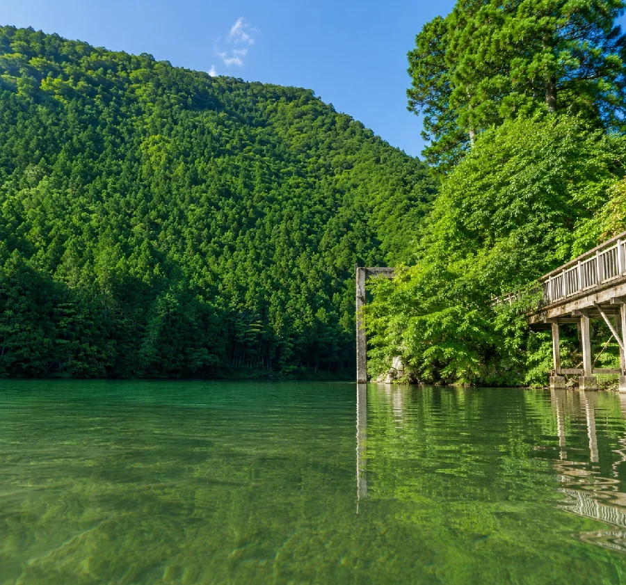 四ノ川合流部付近