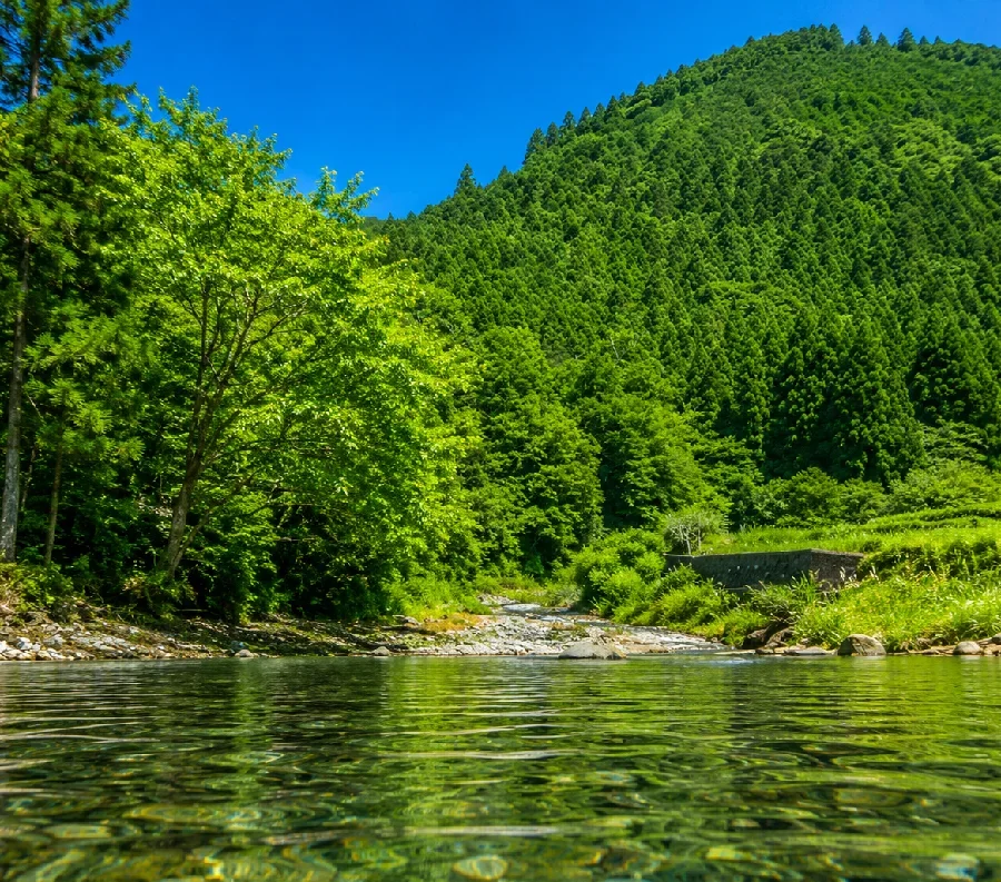 波瀬ゆり館周辺