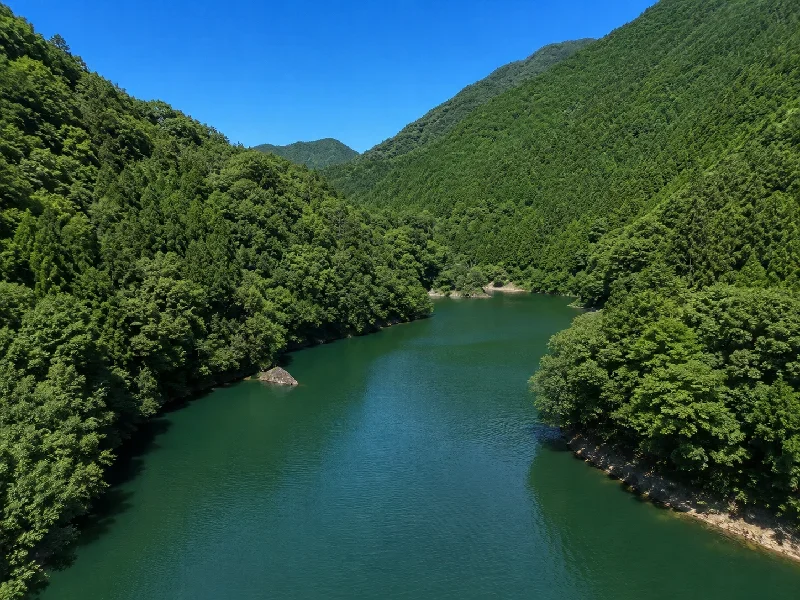 合川ダム前の川筋