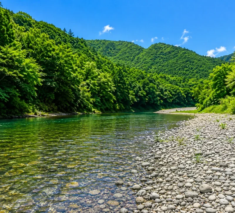 三尾川合流地点付近