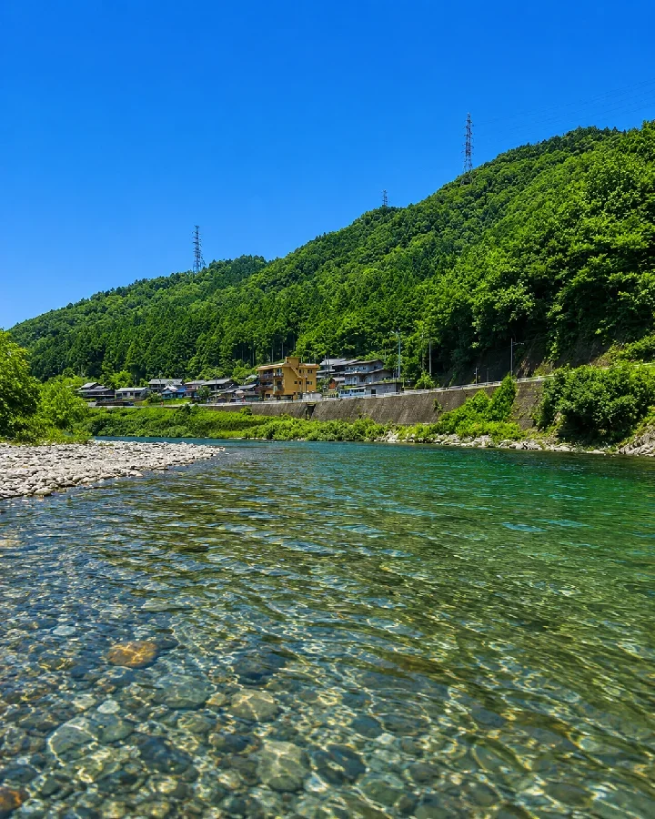 板取川城山橋周辺
