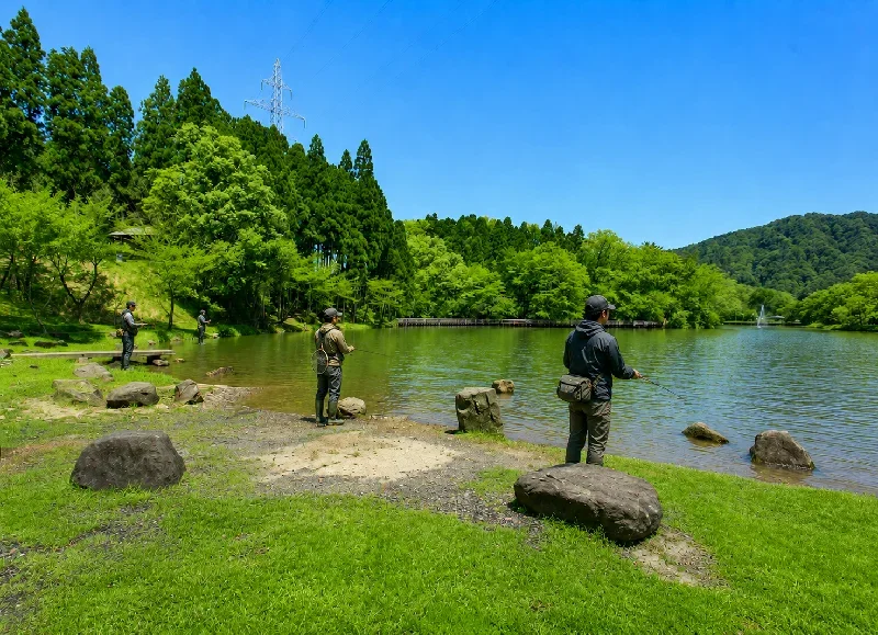 天湖森水辺植物園前