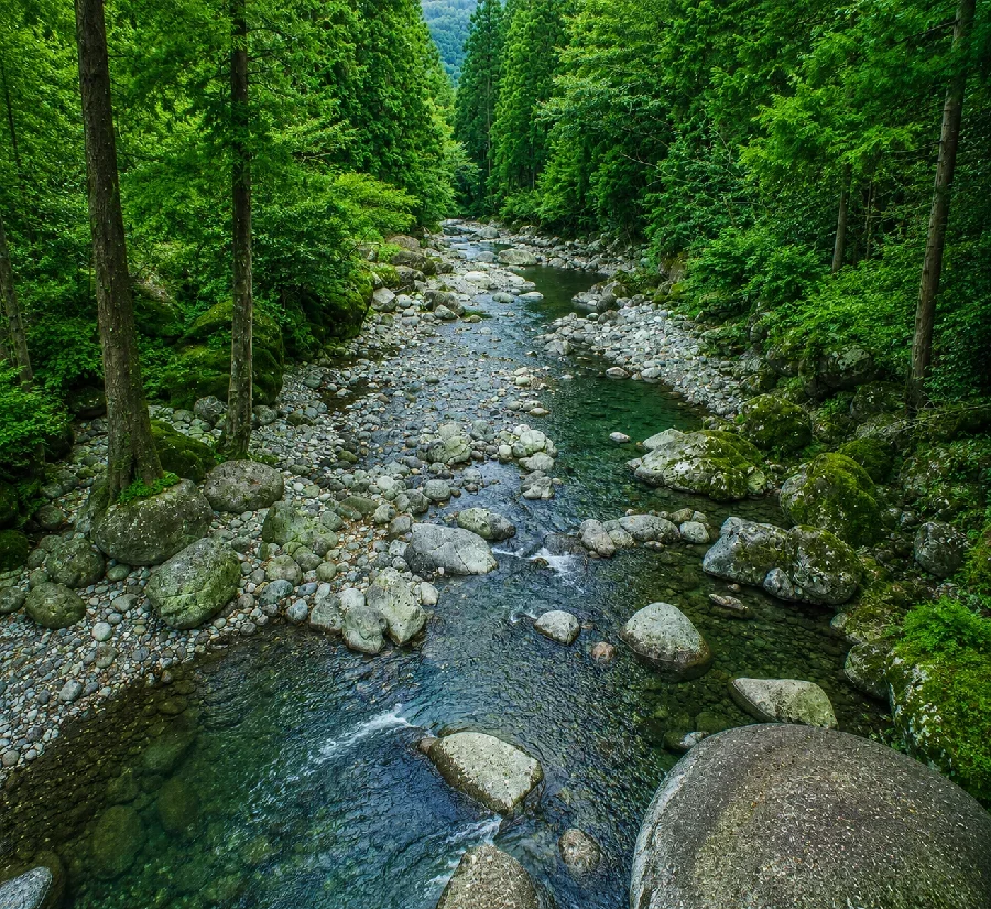 美濃フィッシング渓流エリア