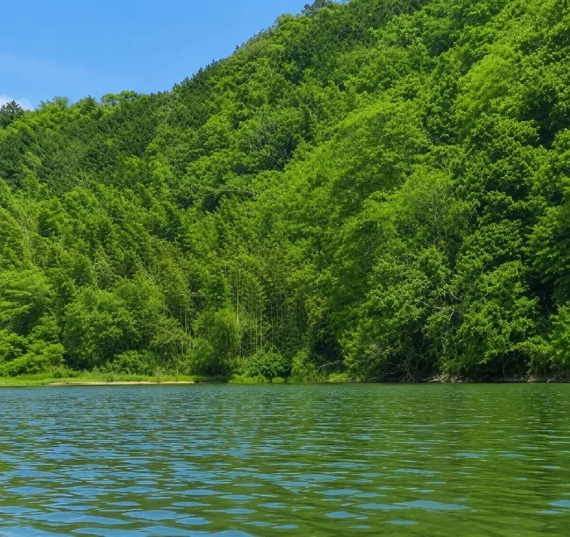 桜池管理釣場大ワンド