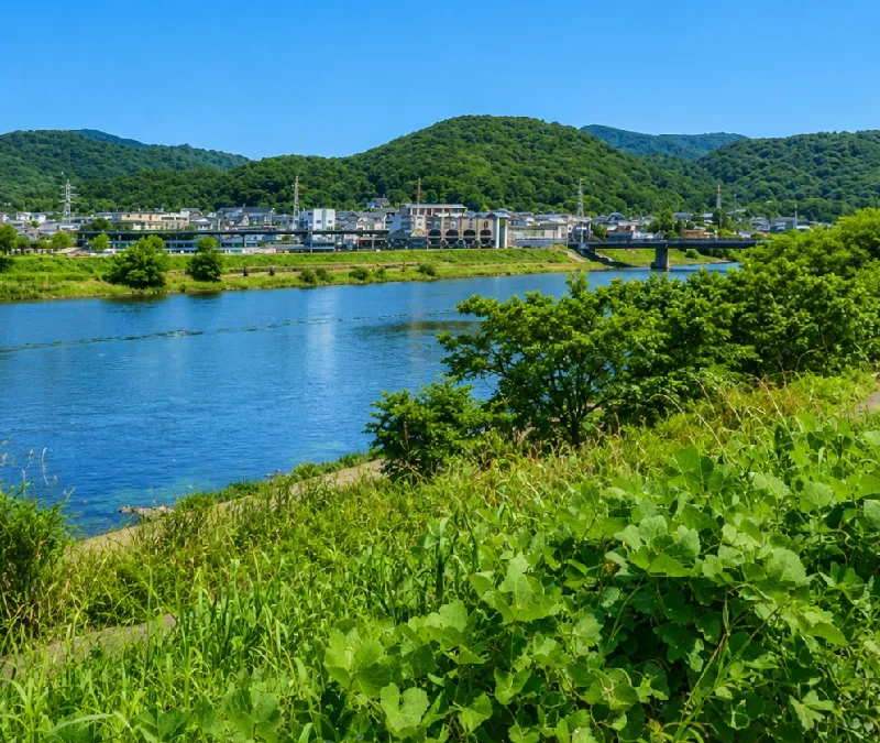 宇治川宇治橋周辺