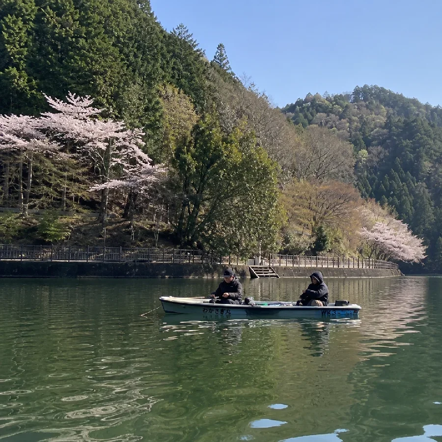 伊自良湖カーブミラー