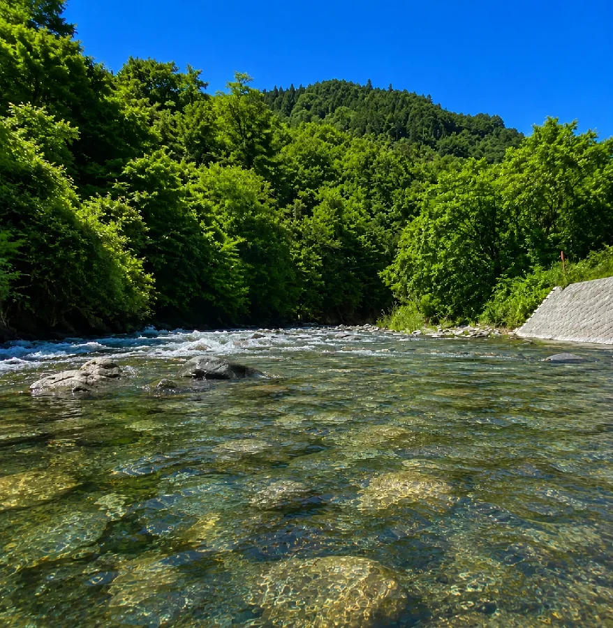 秋神川蟋蟀橋〜秋神ダム