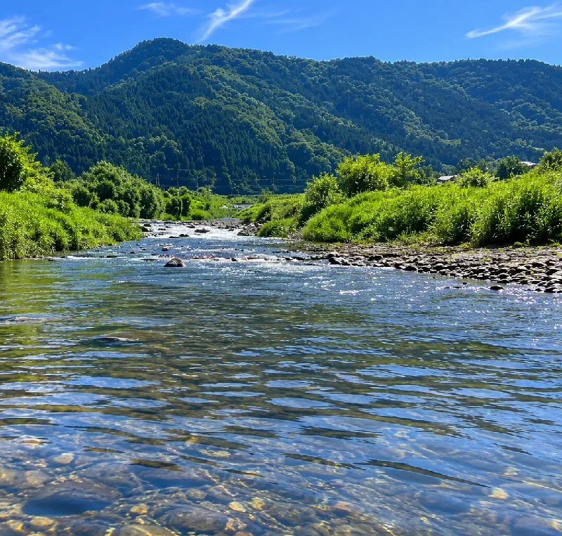 足羽川天神橋周辺
