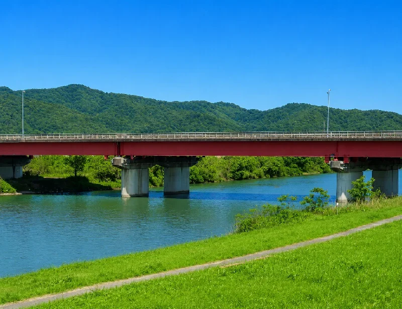 庄川高新大橋周辺