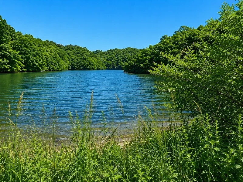 万葉公園管理センター周辺