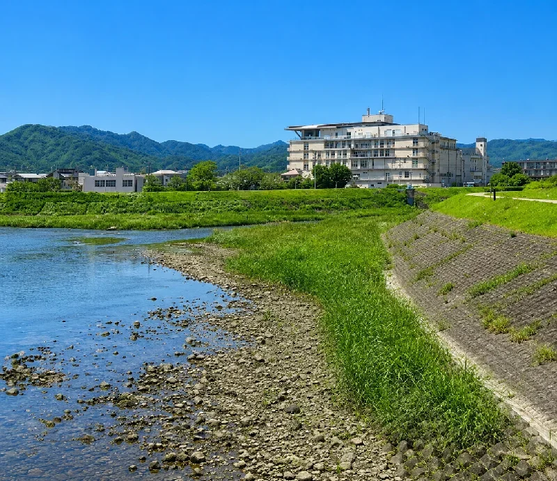 桑野川岡川合流点