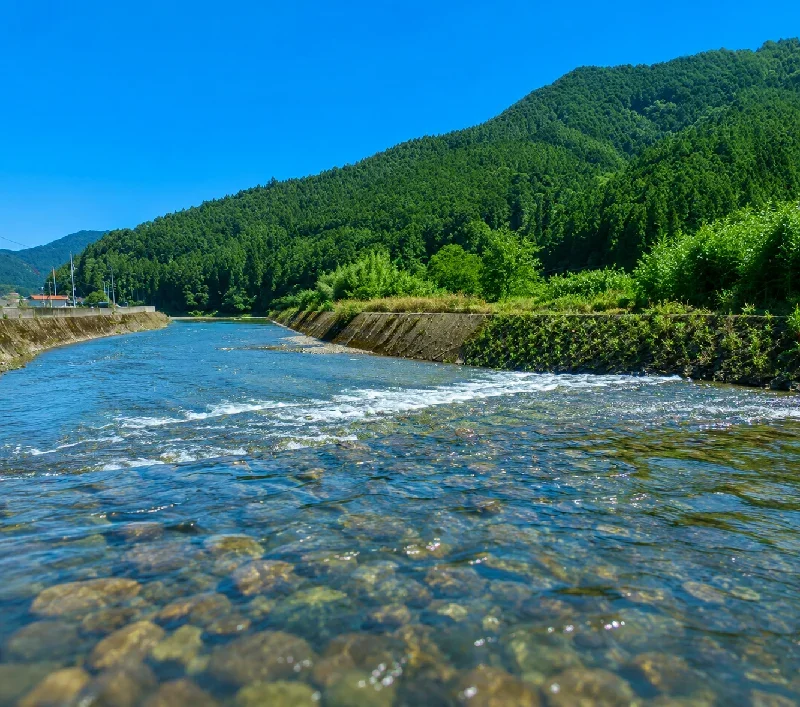 宍喰川広岡川合流地点付近
