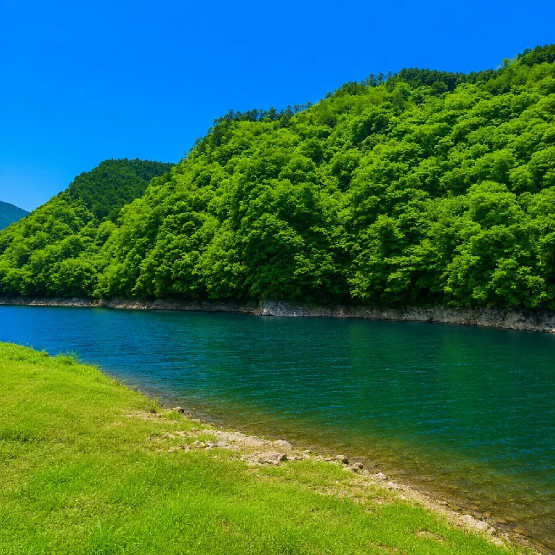 金砂湖平野橋付近