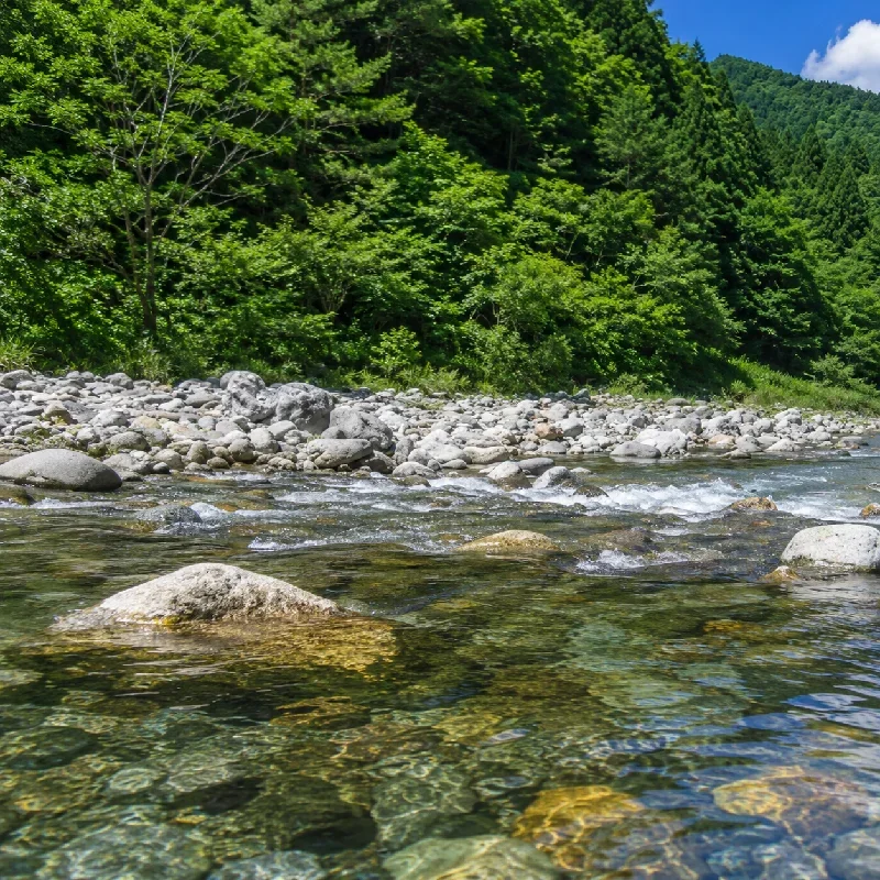 千々谷河川公園周辺