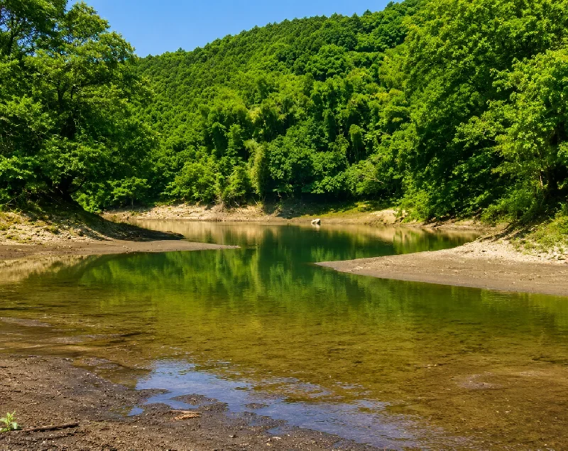 北山ダムあざみさこワンド