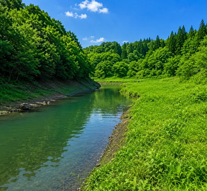 蔵小野橋周辺