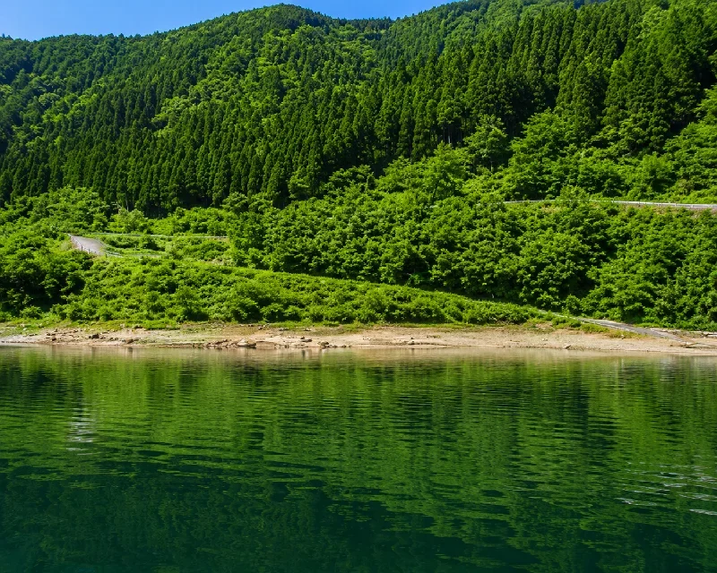 赤石川インレット周辺