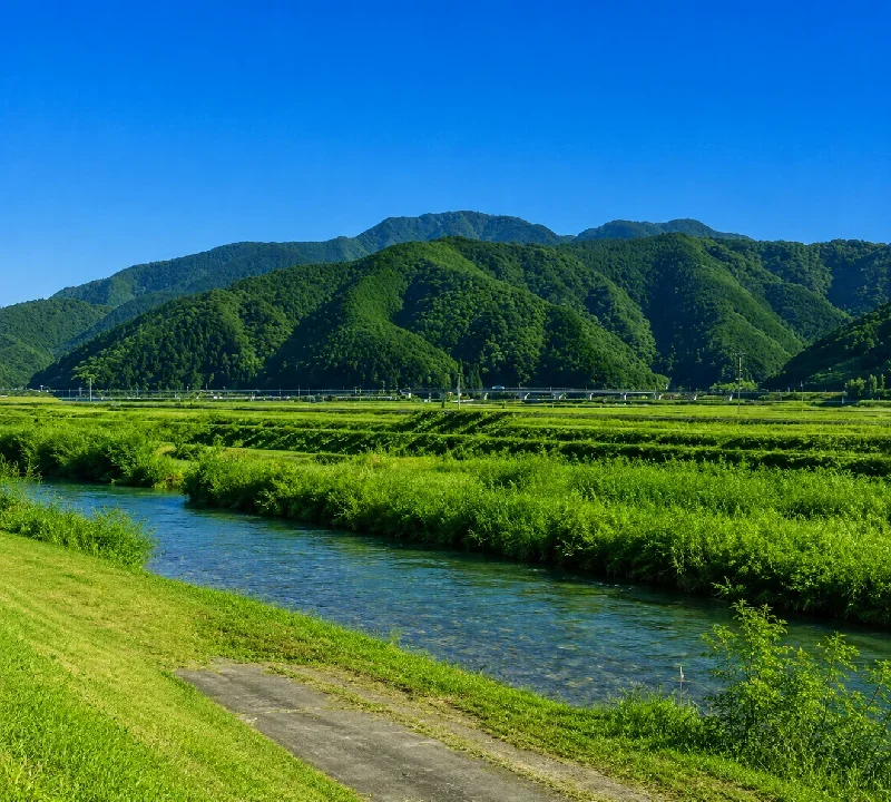 東中筋中学校周辺